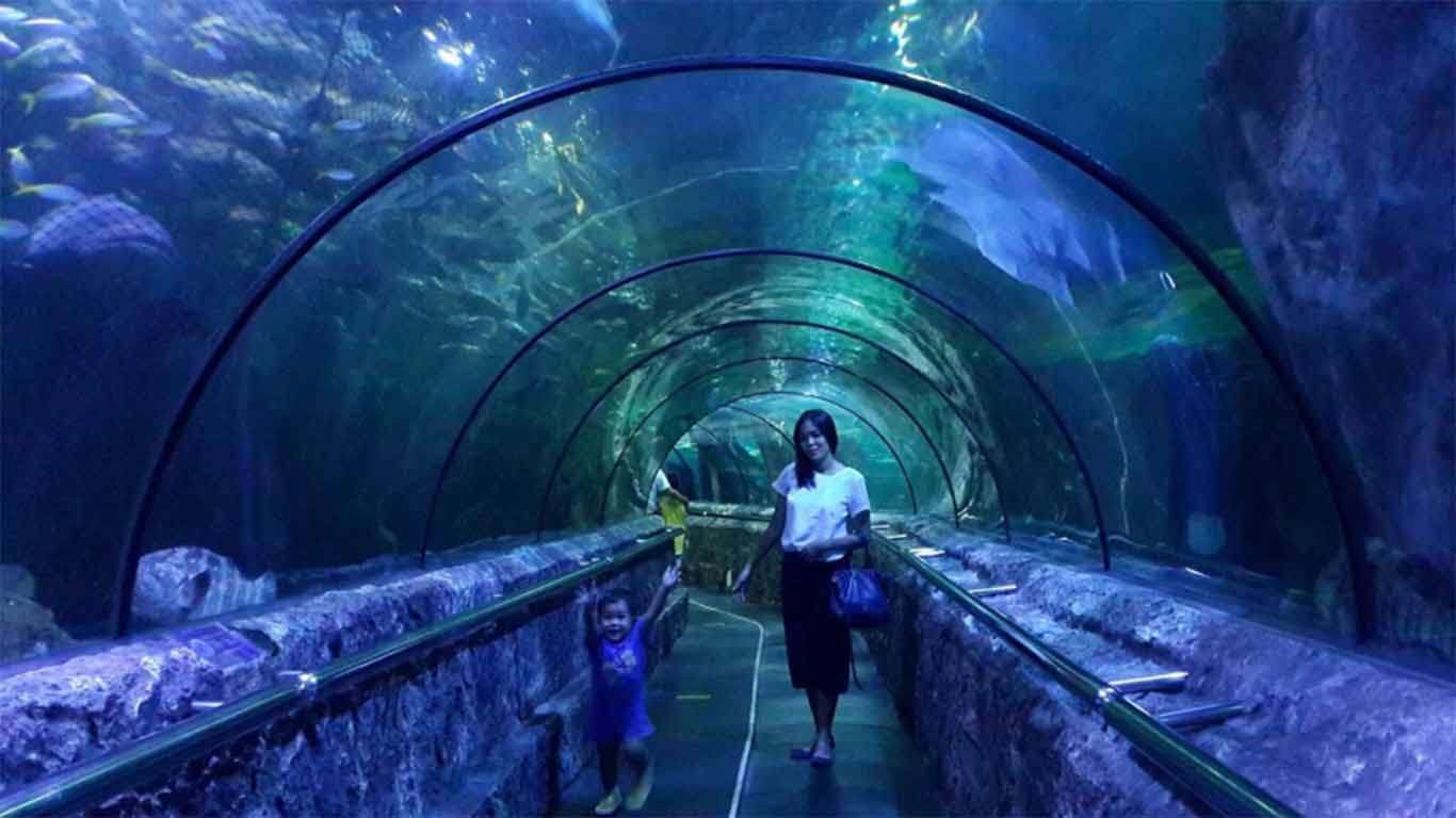Jakarta aquarium lantai berapa