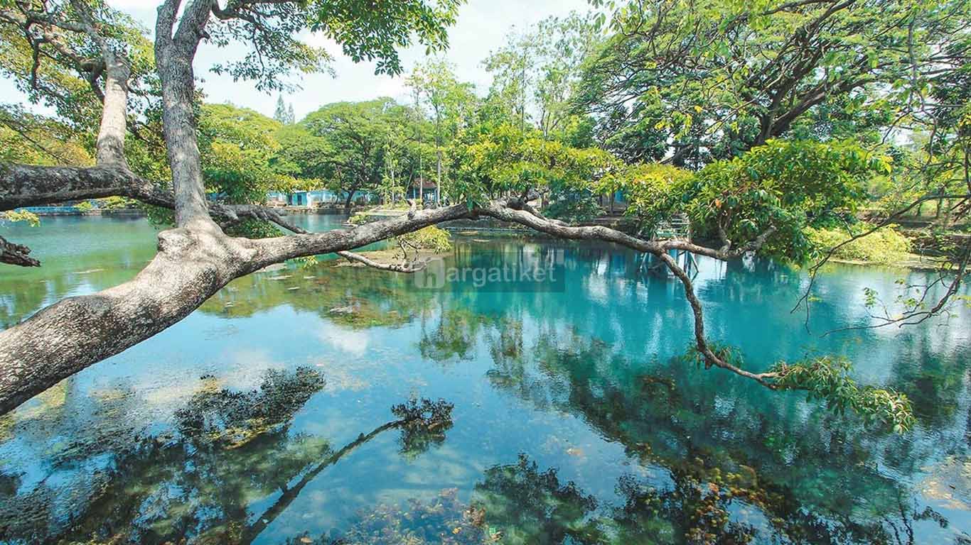 50 Tempat Wisata Di Probolinggo Dan Harga Tiket 2019